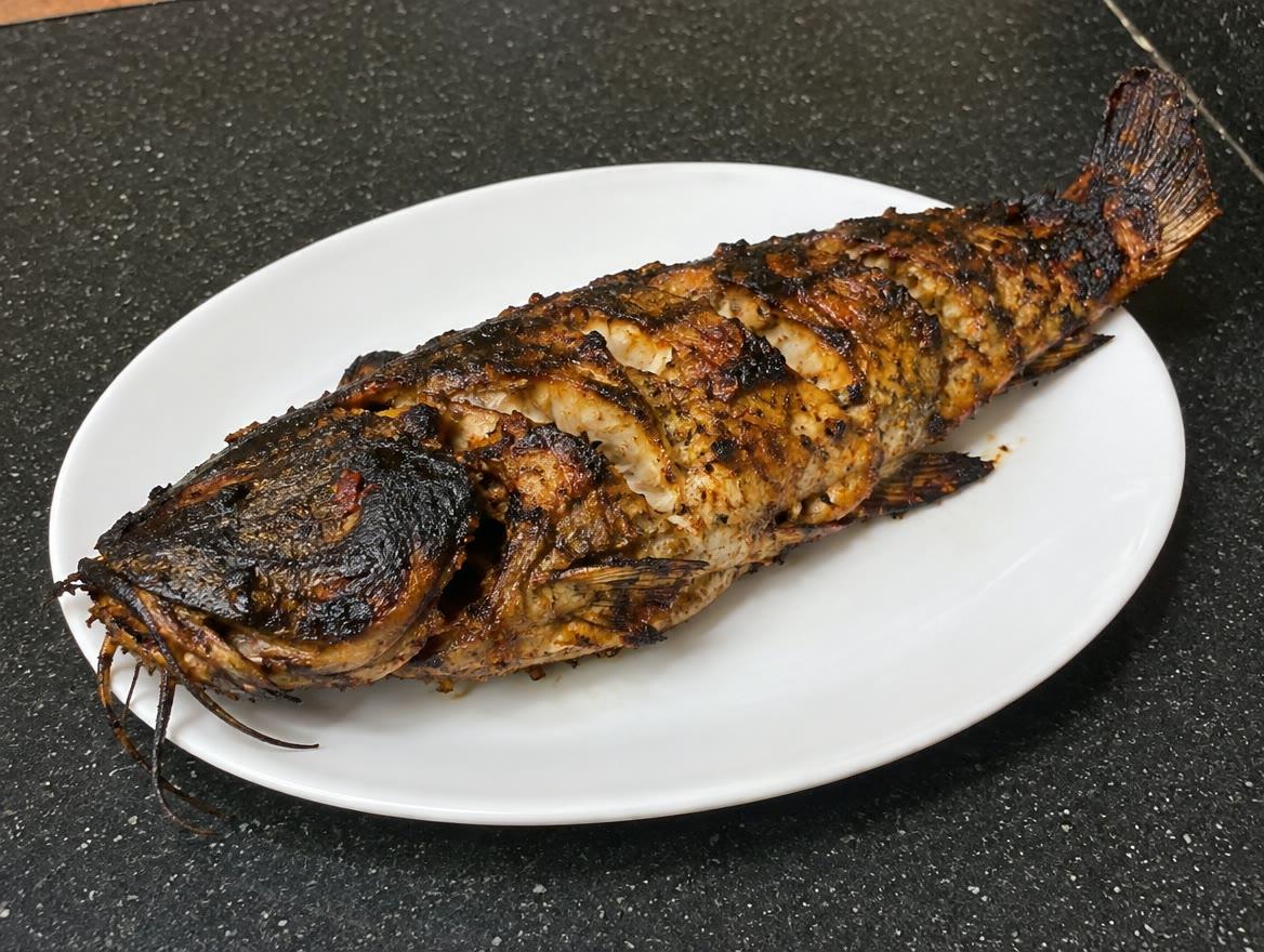 Catfish (Grilled)