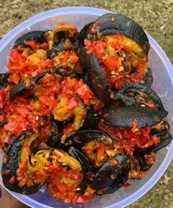 Pepper Snails